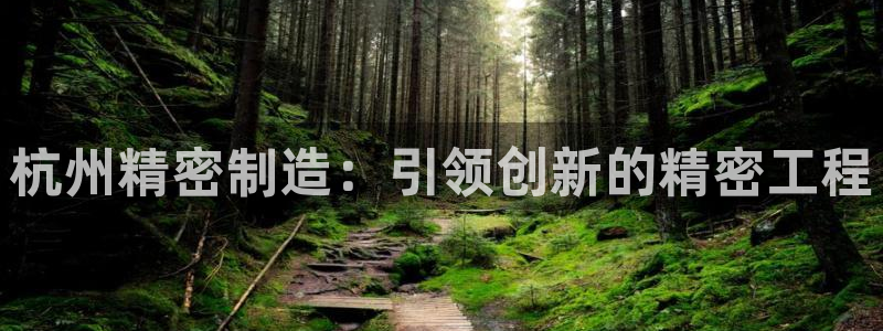 彩神v违法么：杭州精密制造：引领创新的精密工程