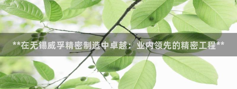 彩神争霸官方登录：**在无锡威孚精密制造中卓越：业内领先的精密工程**