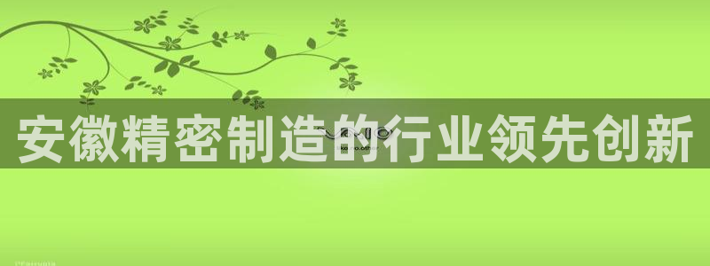 彩神ii官方网：安徽精密制造的行业领先创新