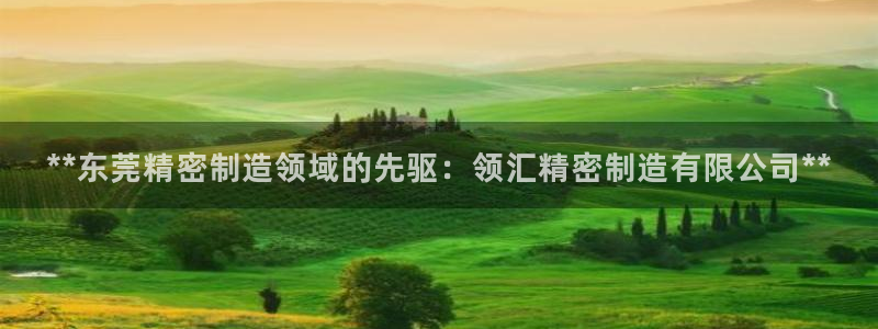 彩神v集团有限公司：**东莞精密制造领域的先驱：领汇精密制造有限公司**