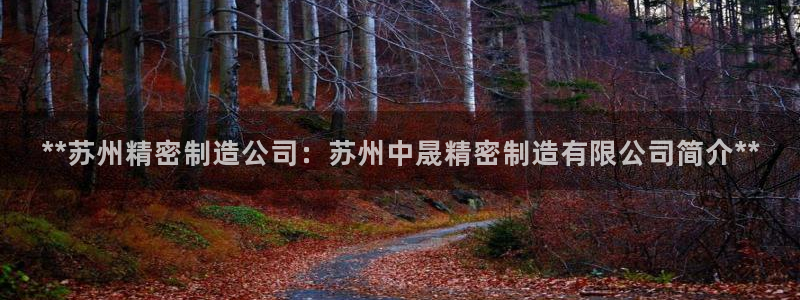彩神v破解版：**苏州精密制造公司：苏州中晟精密制造有限公司简介**