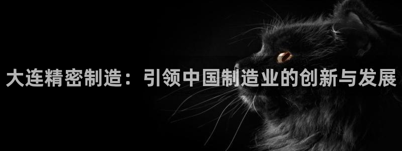 彩神天下专家专栏：大连精密制造：引领中国制造业的创新与发展