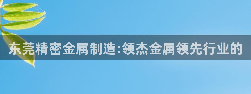 彩神通官方网：东莞精密金属制造:领杰金属领先行业的