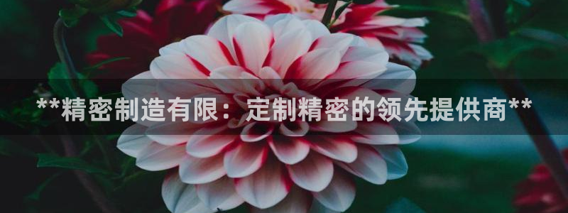 彩神v秘聊号码：**精密制造有限：定制精密的领先提供商**