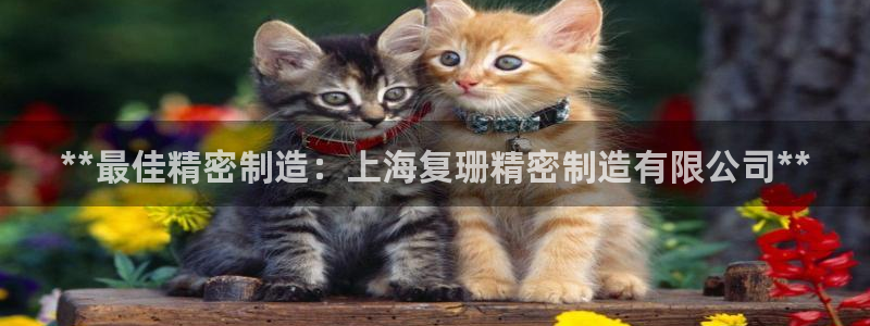 彩神大发官网