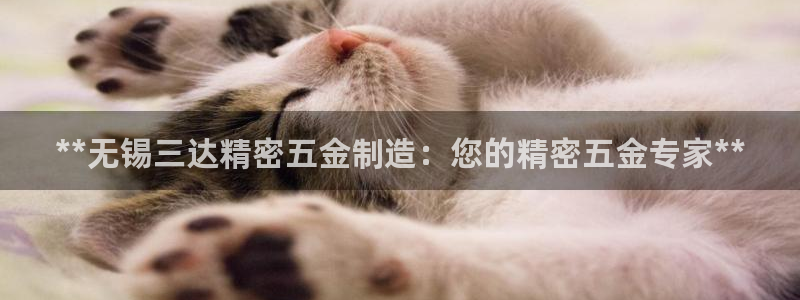 彩神是真的吗