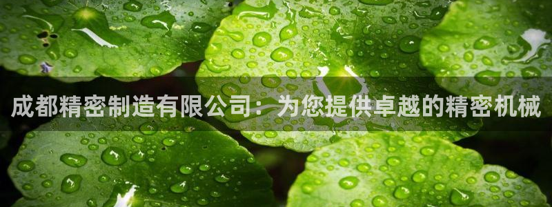 大发彩神官网下载