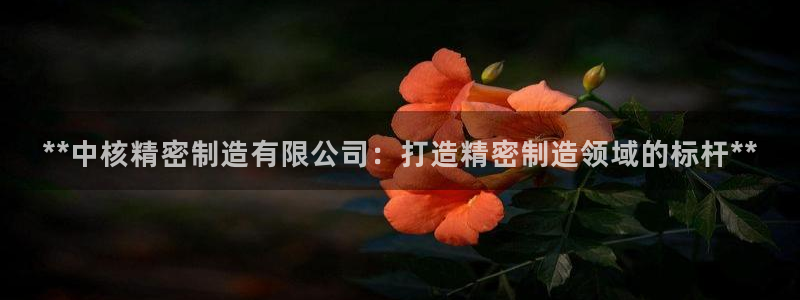 彩神vip购彩大厅在哪