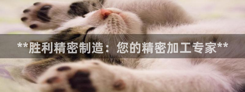 彩神vl官网