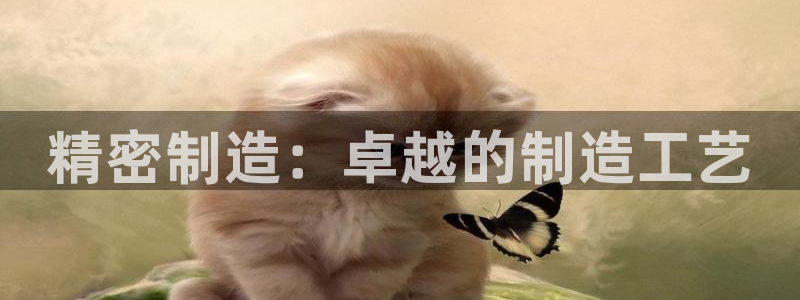 彩神数码科技有限公司