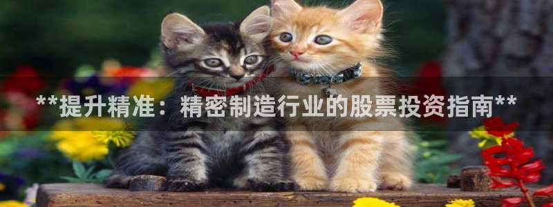 彩神新微聊