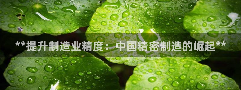 彩神平台能提现吗