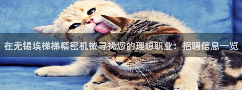 彩神合法吗.是国家认可的吗