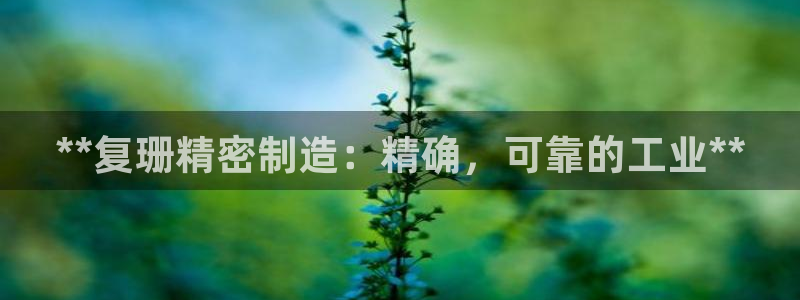 彩神平台能提现吗