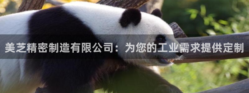 彩神v8平台正规吗知乎