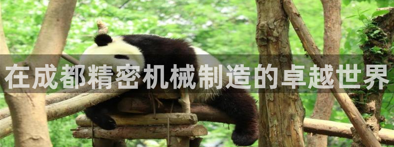 彩神vll购彩大厅大众