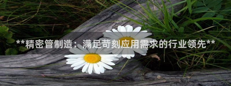 彩神V集团公司