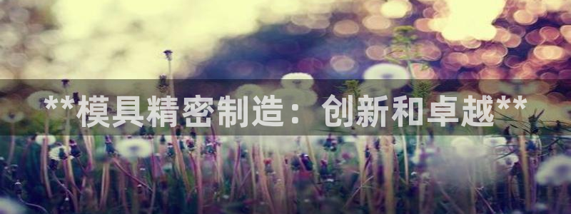 彩神大发黑平台