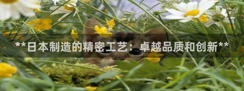 彩神购彩-购彩大厅入口500