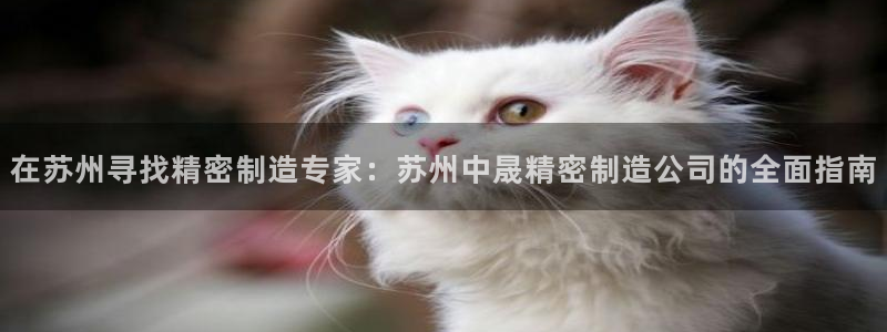 彩神vii官网大赢家