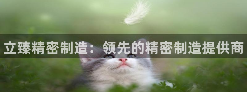 彩神vlll官方网