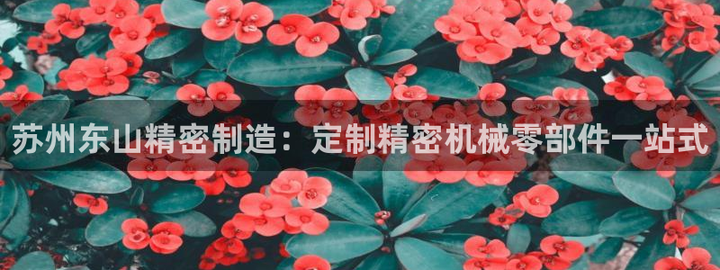 彩神v破解版