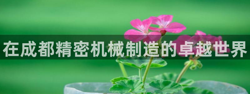 彩神是正规平台吗是真的吗