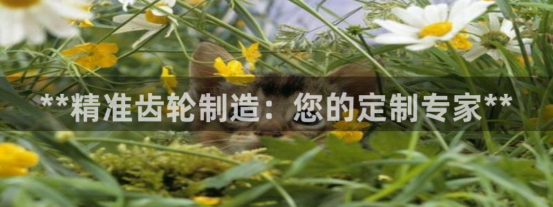 彩神平台是什么套路