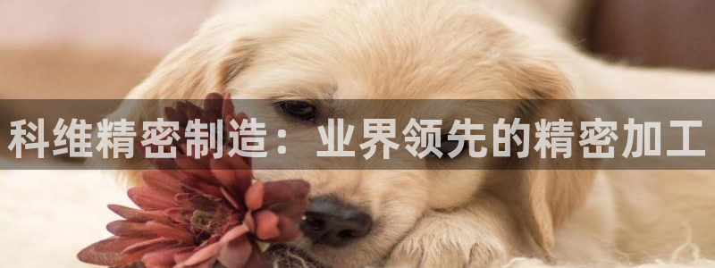 彩神8官网合法吗