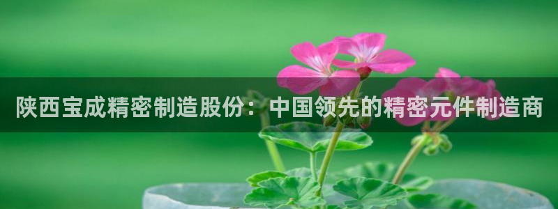 彩神网可以赚钱是真的吗