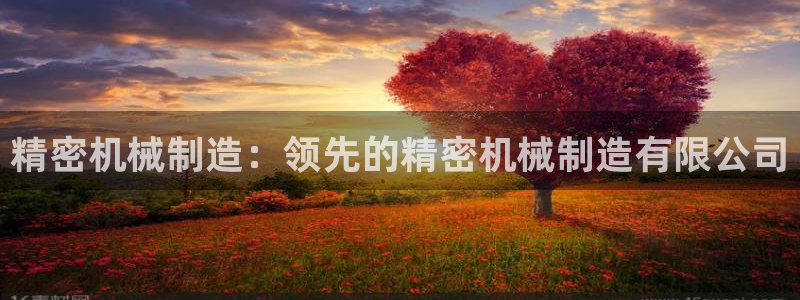 彩神vii官网大赢家