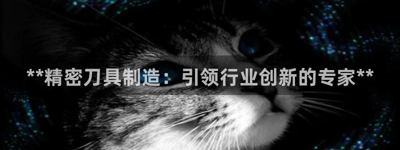 彩神赢钱了吗是真的吗：**精密刀具制造：引领行业创新的专家**