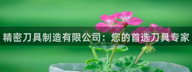 彩神是真的吗：精密刀具制造有限公司：您的首选刀具专家