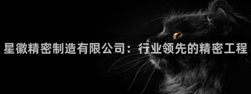 彩神平台能提现吗：星徽精密制造有限公司：行业领先的精密工程