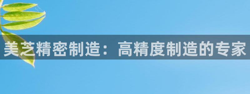 彩神官方登录：美芝精密制造：高精度制造的专家