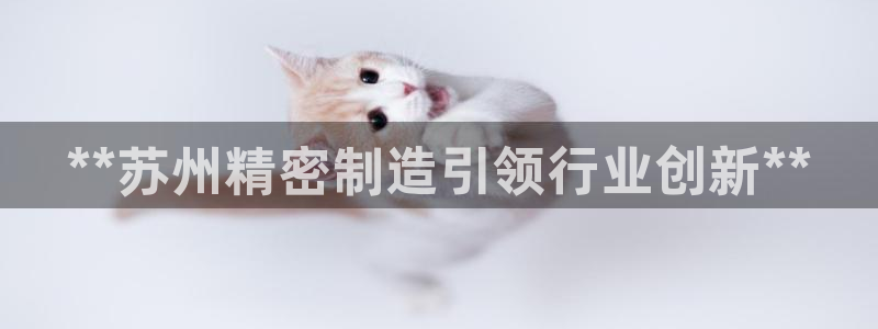 彩神购彩-购彩大厅入口娱乐首选：**苏州精密制造引领行业创新**