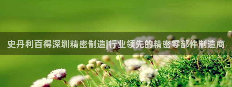 所有彩神购买首页：史丹利百得深圳精密制造|行业领先的精密零部件制造商