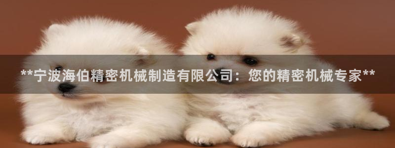彩神趣购彩用户注册