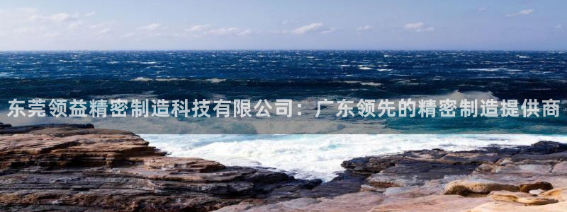 大发彩神争：东莞领益精密制造科技有限公司：广东领先的精密制造提供商