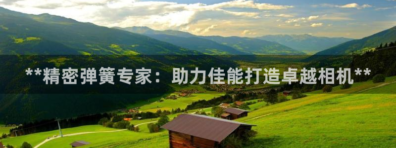 彩神通官方网：**精密弹簧专家：助力佳能打造卓越相机**