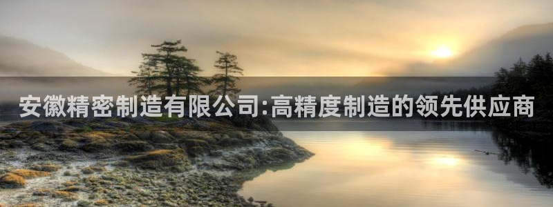彩神v8下载网址：安徽精密制造有限公司:高精度制造的领先供应商