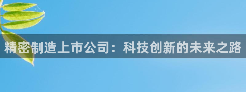 彩神vip购彩大厅在哪：精密制造上市公司：科技创新的未来之路