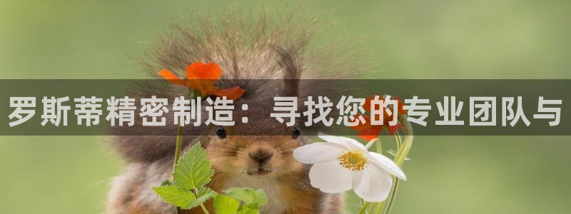 彩神赢的钱是哪里来的啊：罗斯蒂精密制造：寻找您的专业团队与