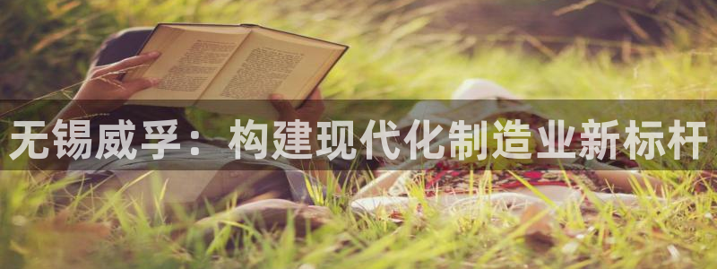 彩神v8是真的挣钱吗知乎：无锡威孚：构建现代化制造业新标杆