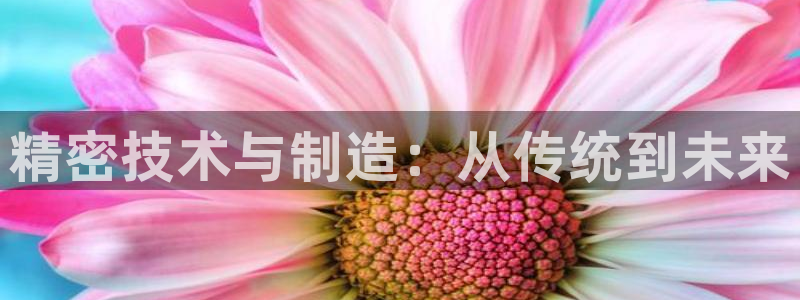 所有彩神购买首页中心：精密技术与制造：从传统到未来