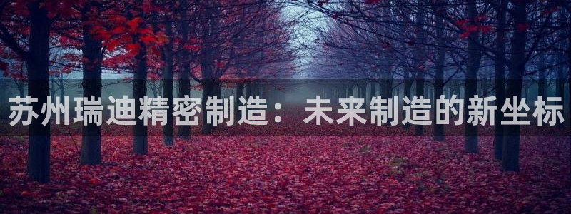 彩神viii是正规平台吗?：苏州瑞迪精密制造：未来制造的新坐标