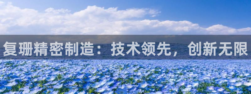 彩神ix平台：复珊精密制造：技术领先，创新无限