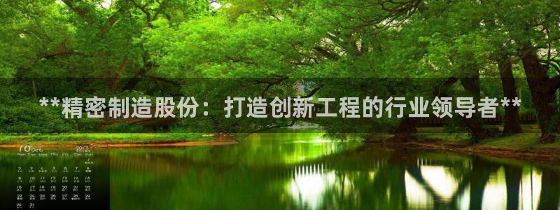 彩神8下载安卓版-彩神8(可提现)官网版1.0.0：**精密制造股份：打造创新工程的行业领导者**
