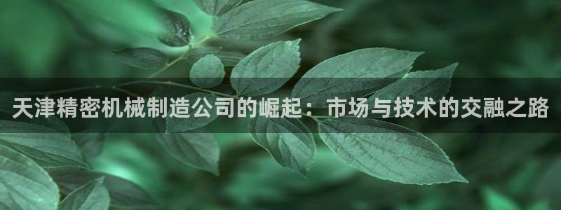 彩神V3大赢家