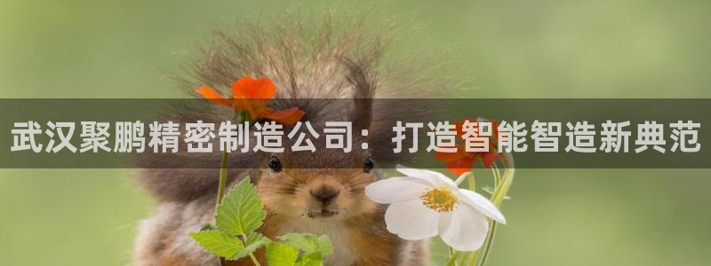 彩神v违法么